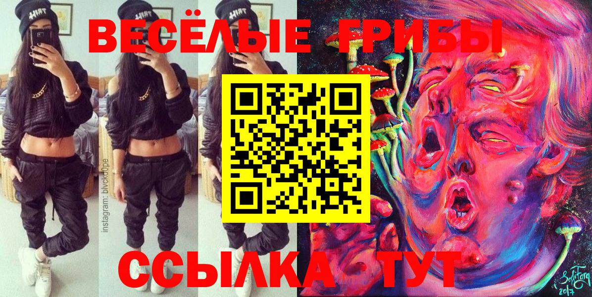 Выкса  Псилоцибиновые грибы мухоморы  Вход с VPN  Галлюциногенные грибы мицелий 